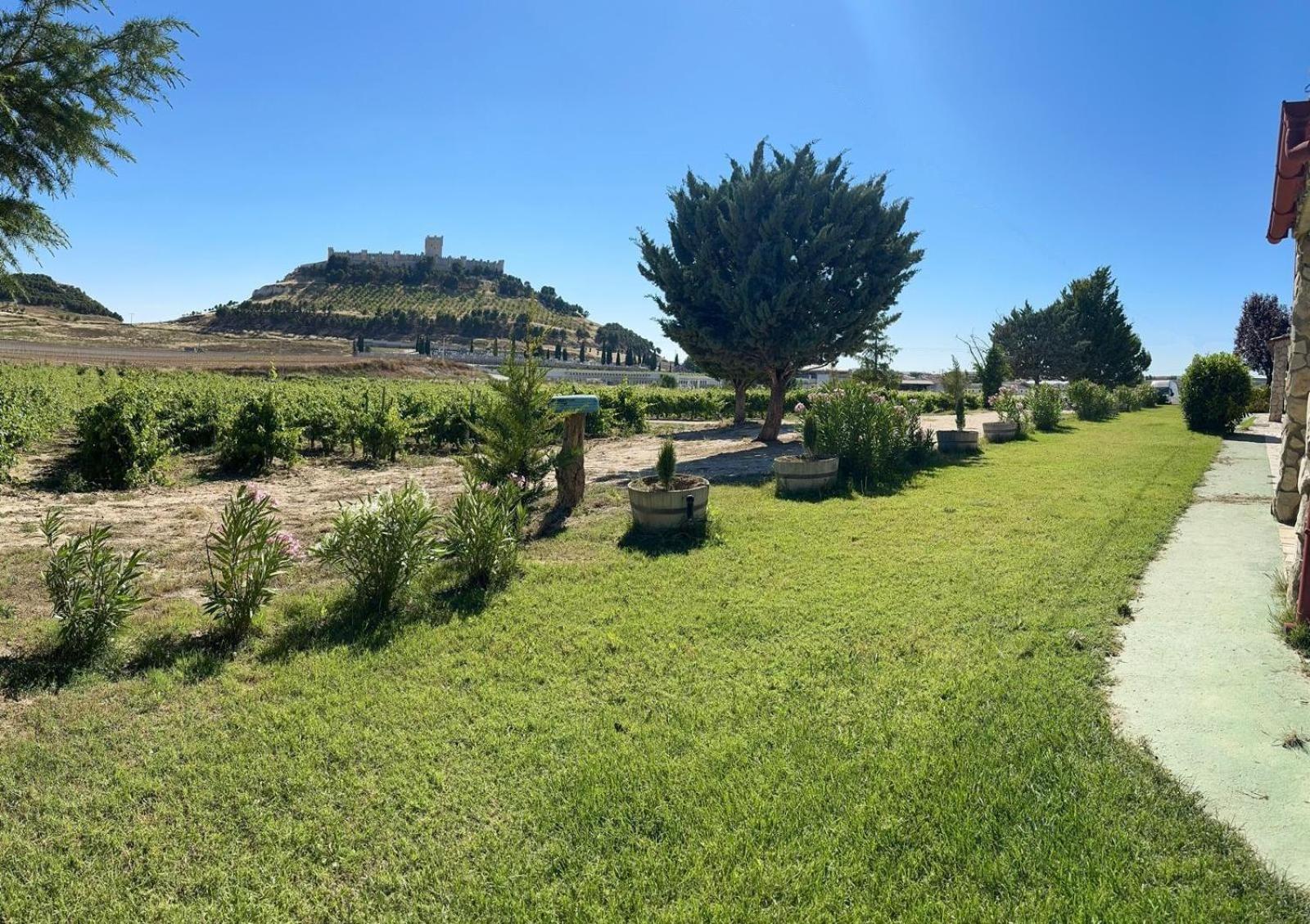 Finca Entrevinedos De Bodegas Marcos Peñafiel Exterior foto